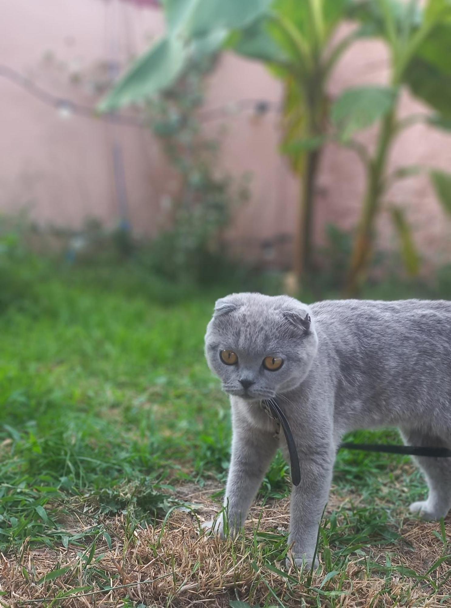 Vila Noar Vlorë エクステリア 写真